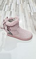 Botine Garvalin - 34