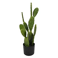 Planta decorativa cactus in ghiveci Inart verde pp H64cm