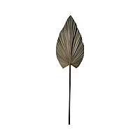 Floare deco Leafen I pakoworld frunză Naturală de palmier