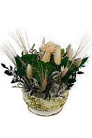 Aranjament din plante uscate in vas ceramic, rotund, verde-crem