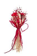 Buchet din plante uscate, rosu-crem