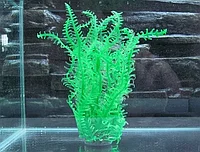 Decor acvariu siliconic verde Caulerpa taxifolia