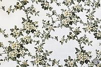 Tapet floral dormitor, verde-lapte, model Sakura