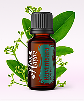 Ulei Esential Pur Ravintsara Cinnamomum Camphora 15ml