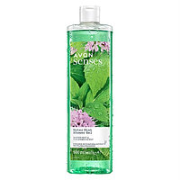 Gel de duș Water Mint 500ml