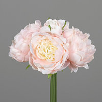 Buchet 5 fire de bujori roz, 26 cm