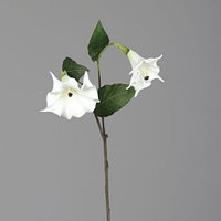 Floare Trompeta îngerului Artificială, Albă, 92 cm