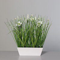 Sortiment de flori de luncă în vas de plastic, 37 cm