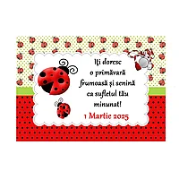 Martisor Magnetic Buburuza