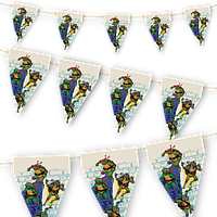 Set stegulete Teenage Mutant Ninja Turtle