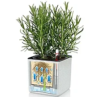 LECHUZA Jardiniere Green Wall Home Kit, 3 buc., alb