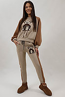 COMPLEU SPORT PLUSAT HANORAC CU PANTALONI TEDDY BEAR