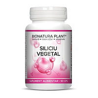 Siliciu vegetal