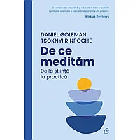 De ce meditam, de Daniel Goleman, Tsoknyi Rinpoche