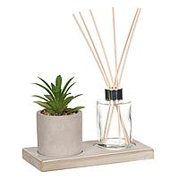 Set Suport Ulei Parfumat, Ghiveci Ceramic și Bete, 7.5x13cm, Multicolor