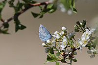Sub_tree_product_31