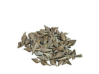 Scoici naturale decorative, mici, frumoase, in punga de aproximativ 80 grame