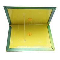 Capcana pentru soareci, cu lipici, tip carte, 31x21 cm