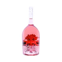 DFR Arrogance 2023 Vin Rose Demidulce 1.5l 14,5% vol.