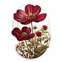 Set 8 bucati,Sticker Flori Cosmos flori de ciocolata cu boboci,INOVATIX®. 6 cm