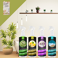 Set 4 Parfumuri de Cameră Profesionale cu Absorbant de Mirosuri + CADOU