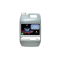 Decapant vopsea, Arca Lux, bidon 5 L