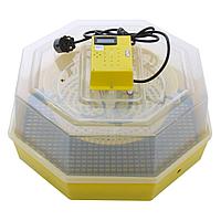 Incubator electric pentru oua, Cleo 5TH, termometru si termohigrometru, galben