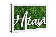 Aranjament licheni, Acasa - CDLDL1001L