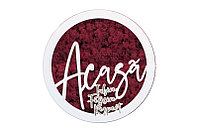 Aranjament Licheni, Acasa - CDLR1036L