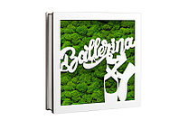 Aranjament Licheni, Balerina - CDL1122L