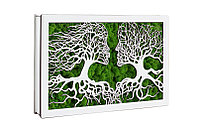 Aranjament licheni, Copaceii pupaciosi - CDLDL1004L