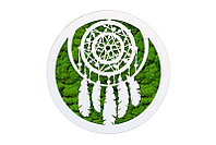 Aranjament Licheni, Dream catcher - CDLR1031L