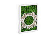 Aranjament licheni, Flori cu fluturas - CDLDP1007L