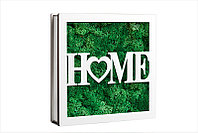 Aranjament Licheni, Home - CDL1008L