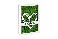 Aranjament licheni, Love - CDLDP1015L