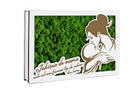 Aranjament licheni, Mama si copilul - CDLDL1003L