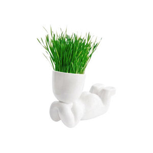 Decoratiuni cu plante