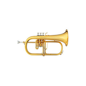 Instrumente de suflat si accesorii