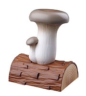 Tehnologie pentru creșterea ciupercilor pe lemn