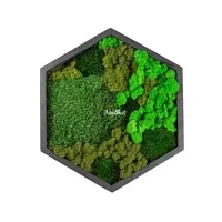 Hexagon decorat cu licheni, muschi si plante criogenate - 40cm - Lemn Ars