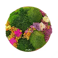 Tablou natural Summer Vibe decorat cu muschi pufosi, flori criogenate si uscate - 50cm - Maro Inchis
