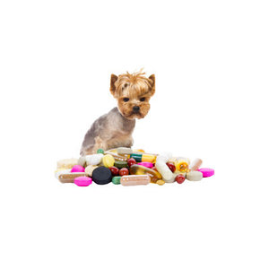 Vitamine animale