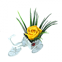 Aranjament Floral, Bicicleta, Trandafir Galben Inchis, Parfumat, Buburuza