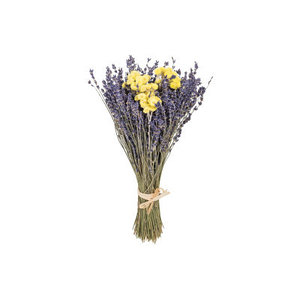 Flori uscate, plante