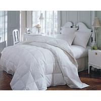 Pilota silicon antialergic 180 x 210 cm 4 anotimpuri - LenjeriiPat-Pucioasa.ro - Magazin Online lenjerii pat