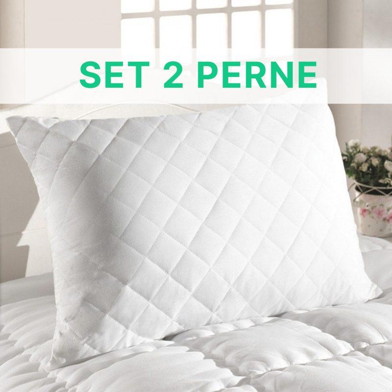 SET 2 PERNE HYPO - 50 X 70 - LenjeriiPat-Pucioasa.ro - Magazin Online lenjerii pat - foto 1 - id-p93108300