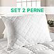 SET 2 PERNE HYPO - 50 X 70 - LenjeriiPat-Pucioasa.ro - Magazin Online lenjerii pat - foto 1 - id-p93108300