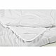 Pilota silicon antialergic 200 x 220 cm 4 anotimpuri - LenjeriiPat-Pucioasa.ro - Magazin Online lenjerii pat - foto 3 - id-p93107504