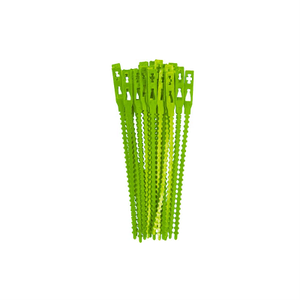 Plante de jartiera