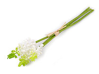 Zambile artificiale - 1 Alb 900682
